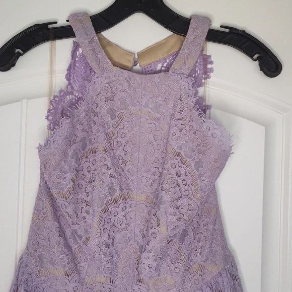 Francesca's Lace Lilac Dress - Picture 4 of 11